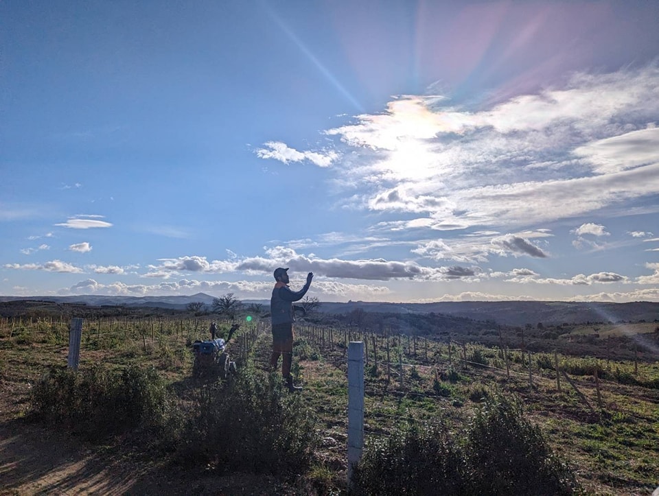 自然酒的純淨風土美學